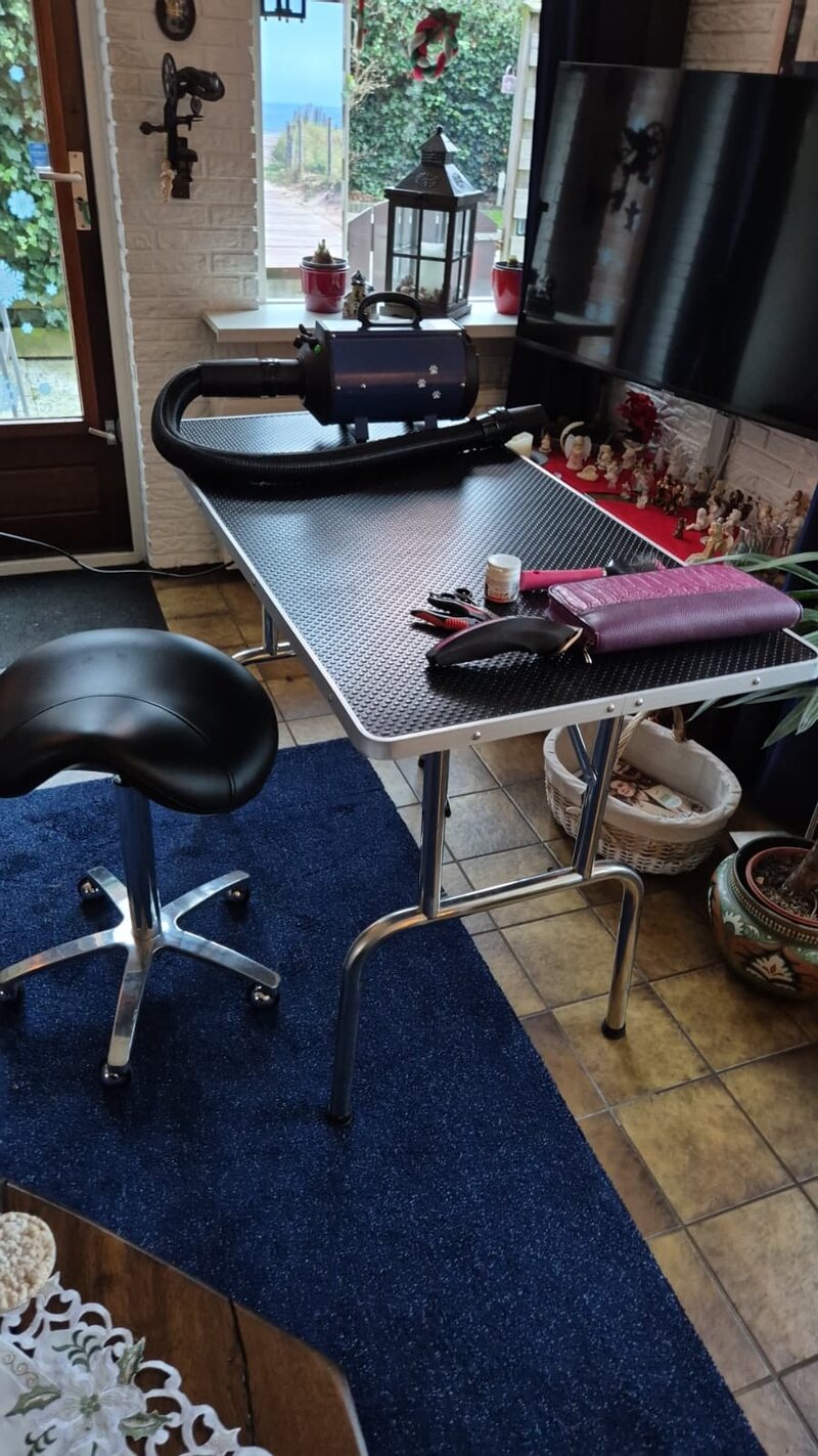 Charlotte's trimtafel met föhn, scharen, tondeuse en werkstoel, klaar voor een trimbeurt aan huis